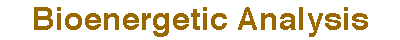 Bioenergetic Analysis